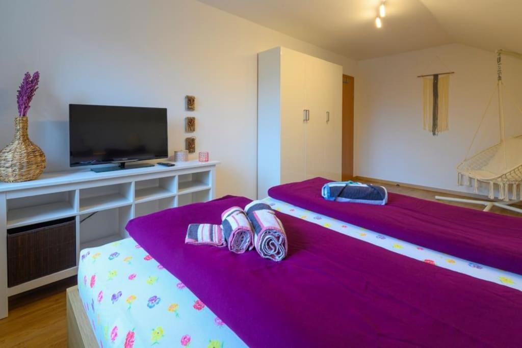 Family Apartment Bad Goisern Extérieur photo